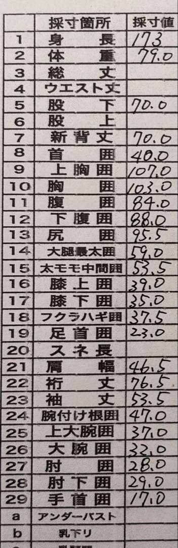 ごり波セイバークロスウェットスーツライトドライスーツ