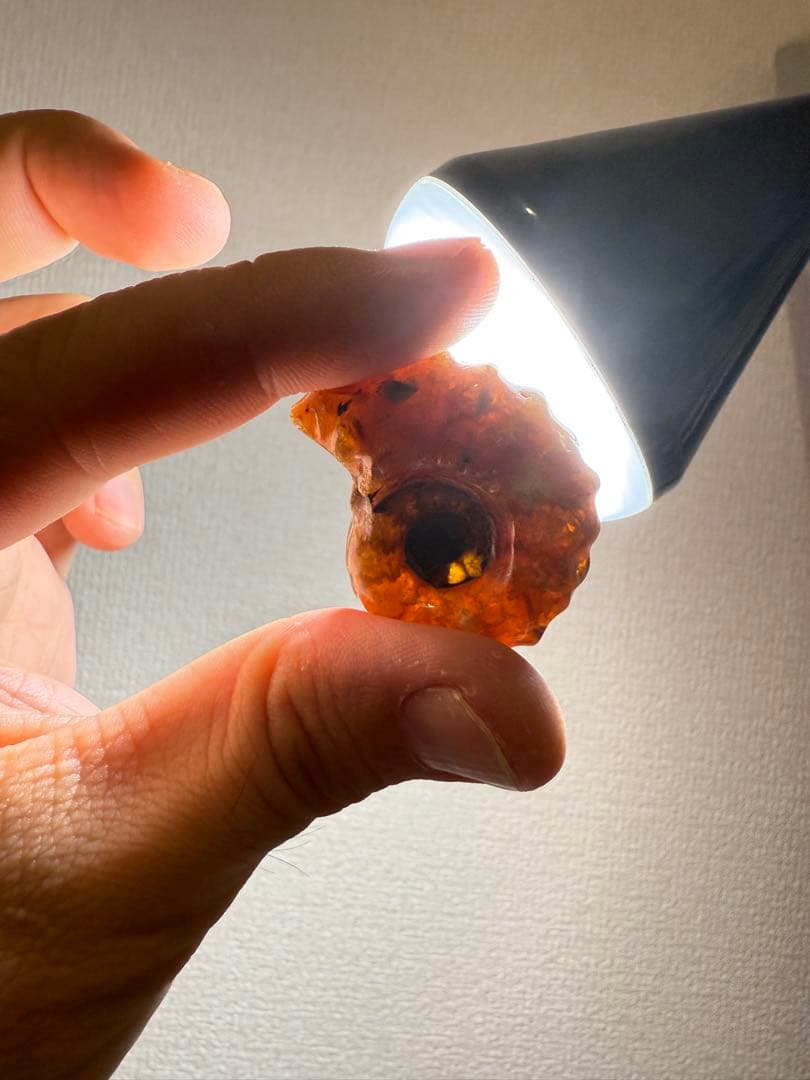 極美品　マダガスカルのアンモナイト化石　2点セット　本物保証　希少　送料無料