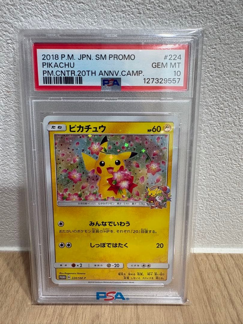 みんなでいわう ピカチュウ プロモ 224/SM-P 【PSA10】