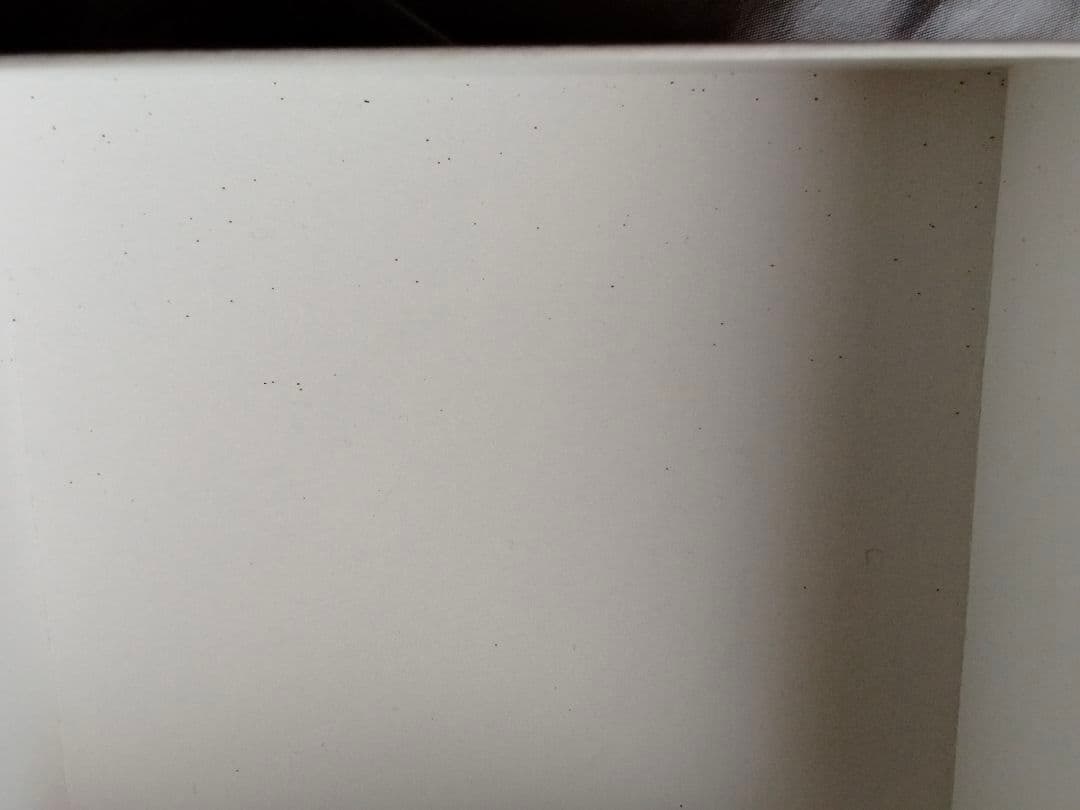 奈良美智 グミガール ソランちゃん　グミ無し