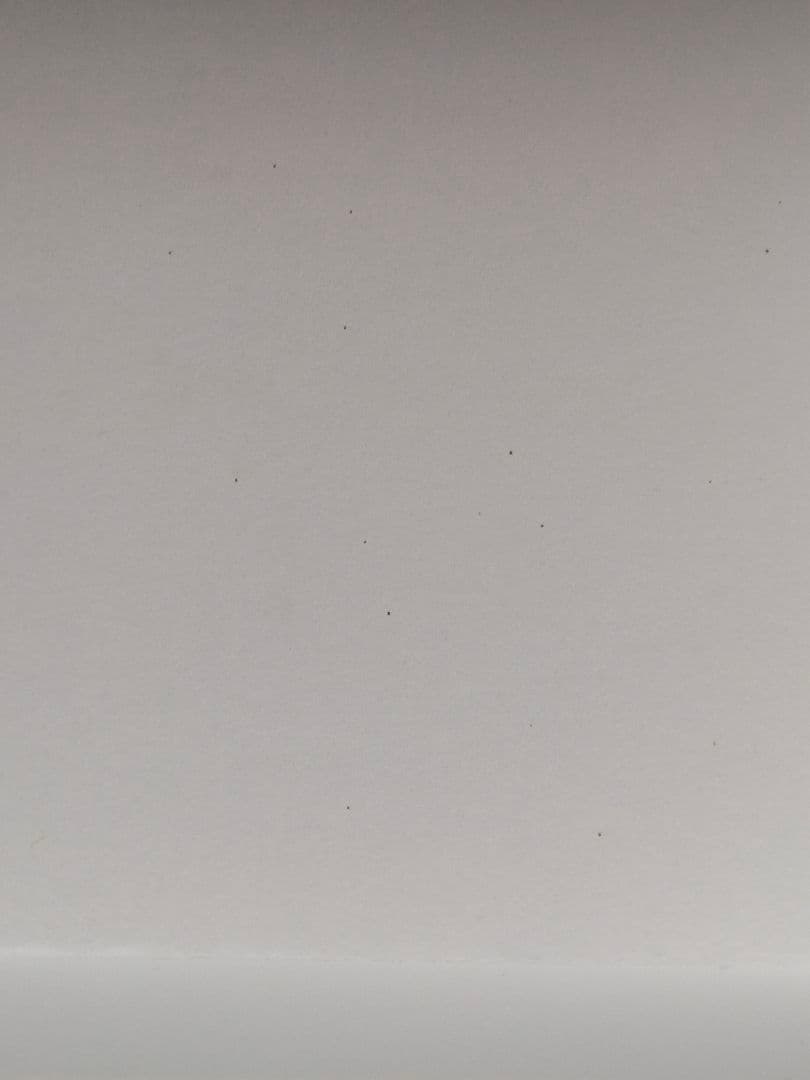 奈良美智 グミガール ソランちゃん　グミ無し