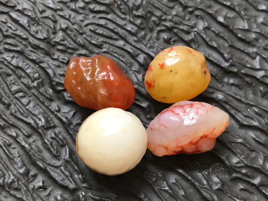 ゴビ石−574 ゴビ瑪瑙　原石　地表　血脈