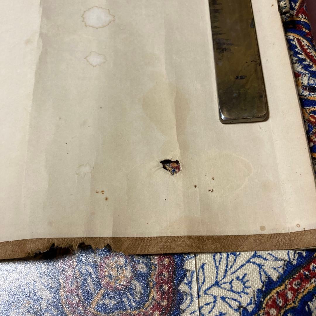 14掛軸　菘翁落款【kurokunn】H