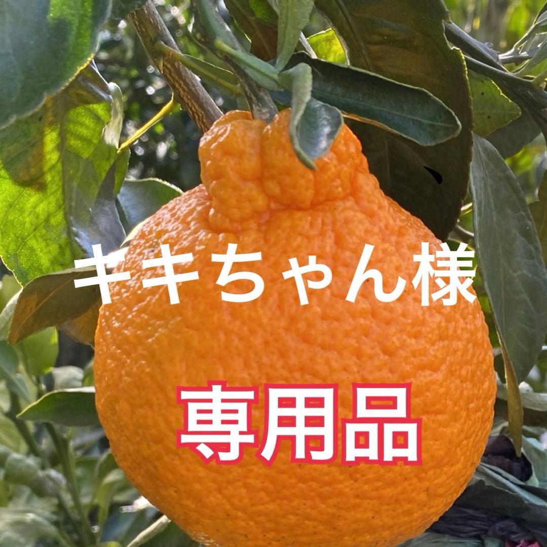 デコポン(不知火)Ｌサイズ秀品　箱込み10kg弱2箱　2L9個