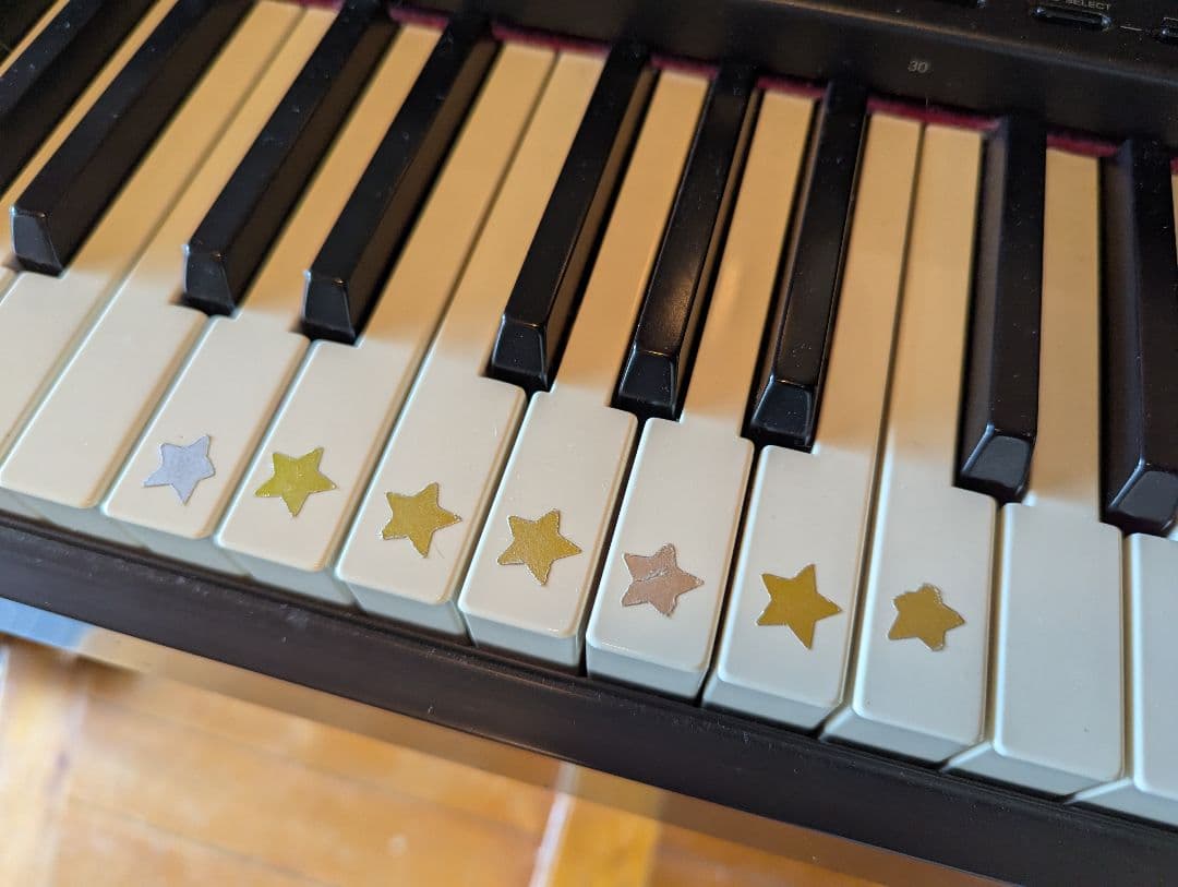 値下げ！【埼玉北部群馬南部引き取り限定】CASIO 電子ピアノ 88鍵 ブラウン