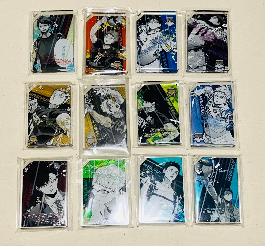 ハイキュー　ドミノ風アクリルキーホルダー　12種セット