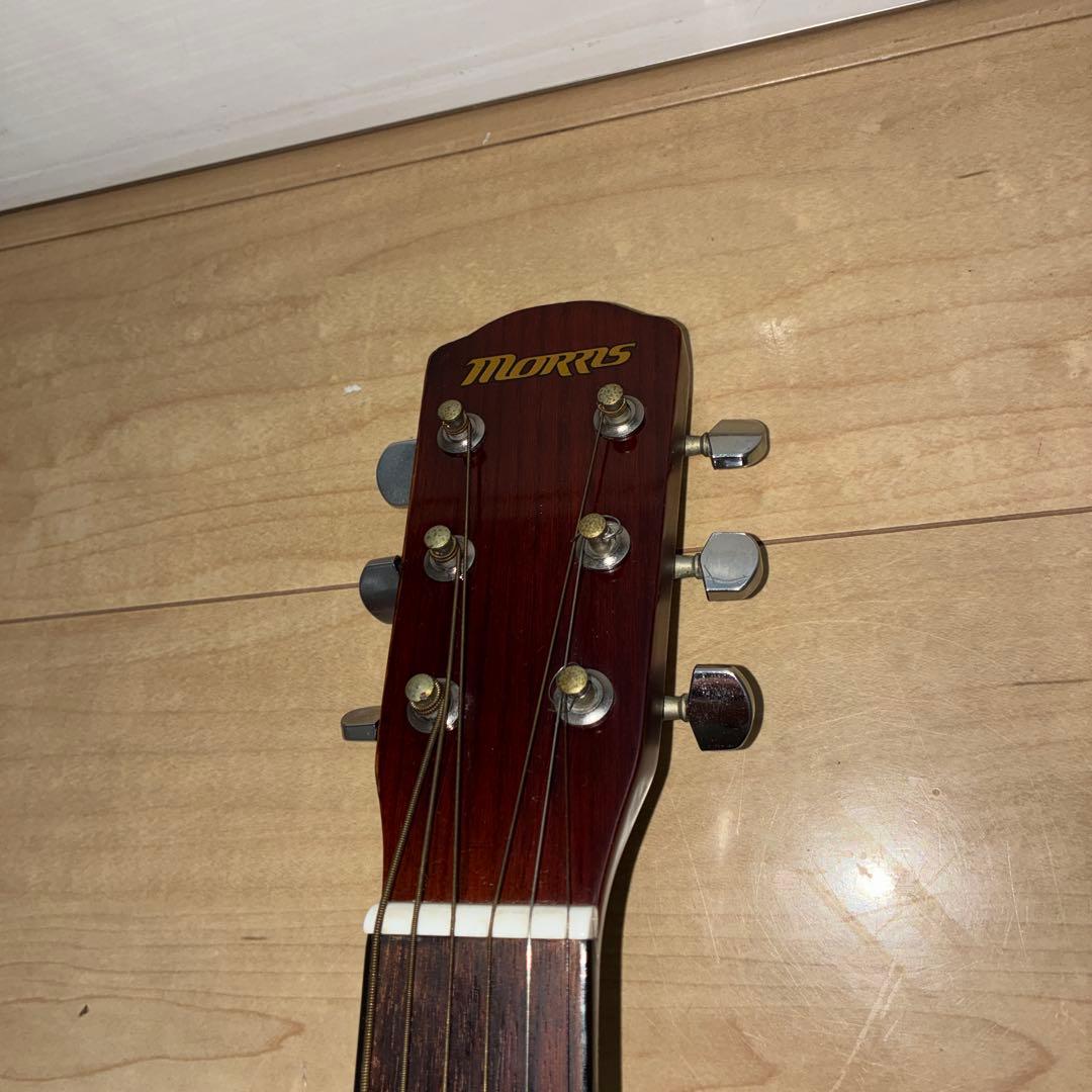 調整済み　Morris（モーリス）　ミニサイズ　ギター　L-A1TS