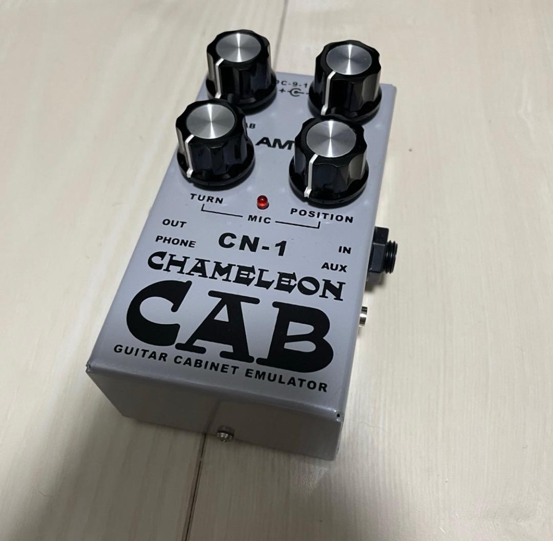 ギター AMT Electronics CN-1 CHAMELEON CAB