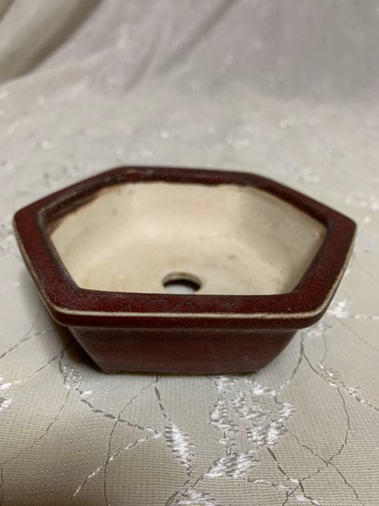 御蔵山　黒赤　六角　盆栽鉢