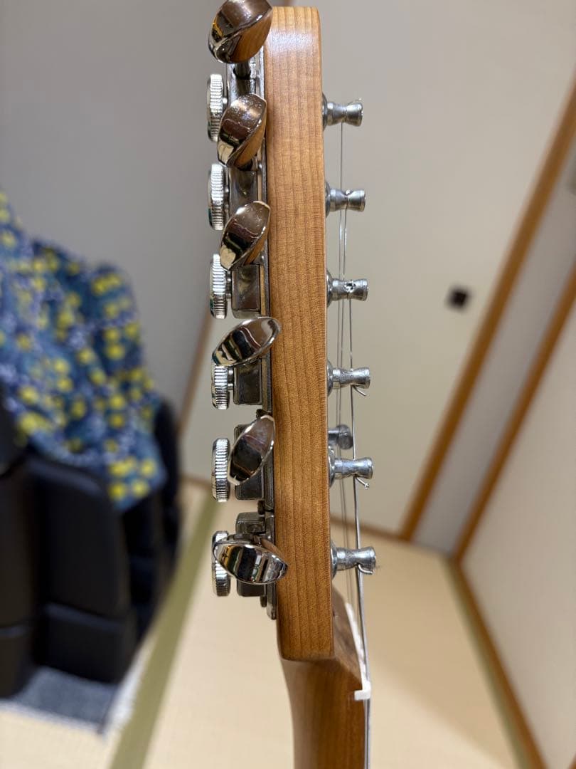 ギター bacchus TAC24 FMH-RSM/M N-BR-B