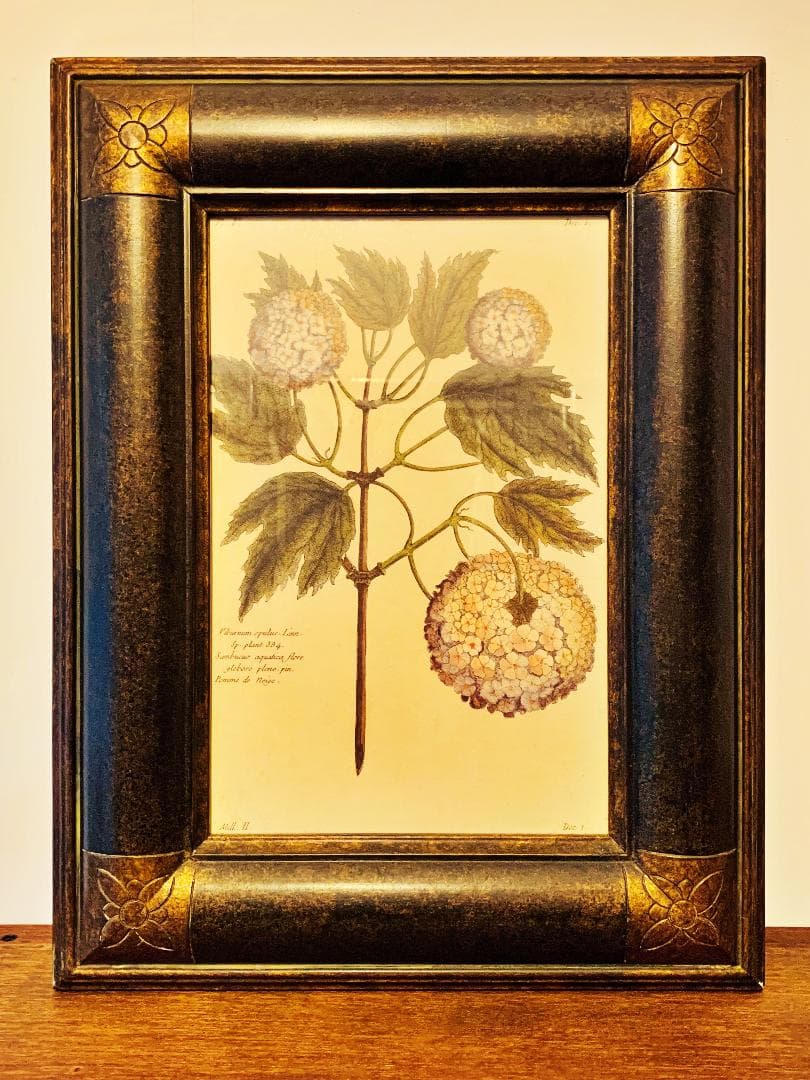 フランス　アンティーク　フレーム　絵