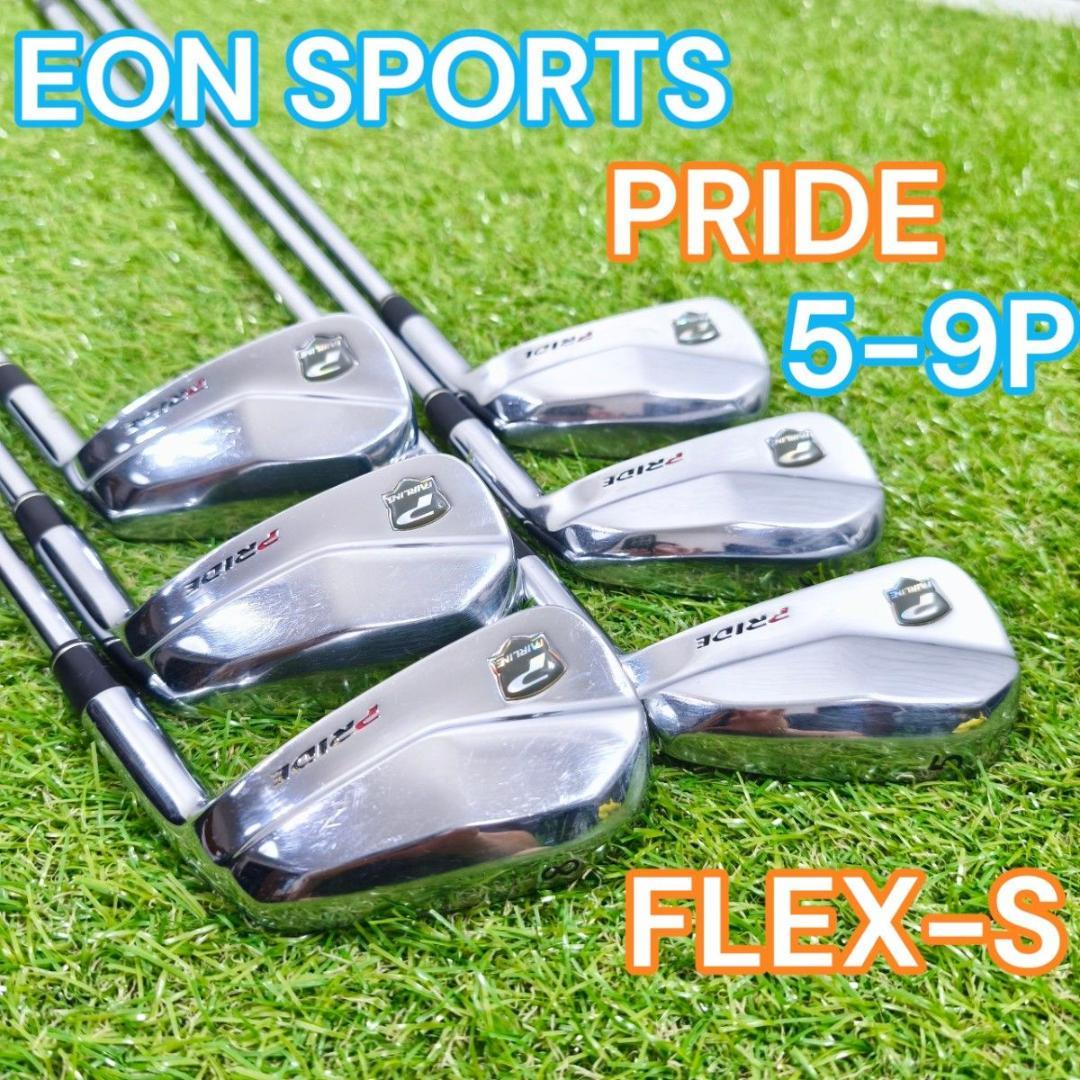 メンズ アイアン EON SPORTS 56789P 6本 FLEX-S