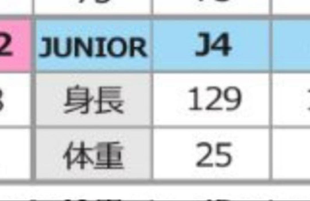 BUELL 骨格デザイン フルスーツ