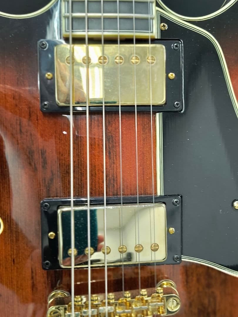 アイバニーズAS113B-TBC セミアコ