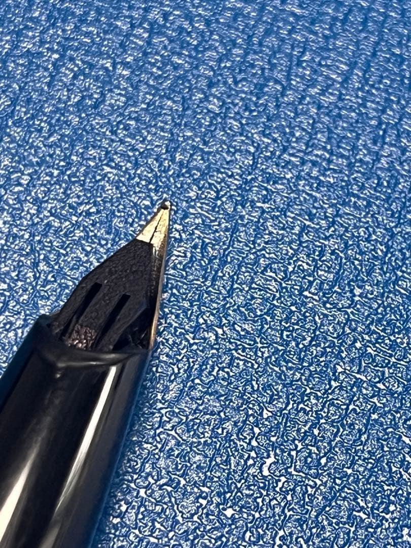 た*)様 シェーファー万年筆タルガ1004