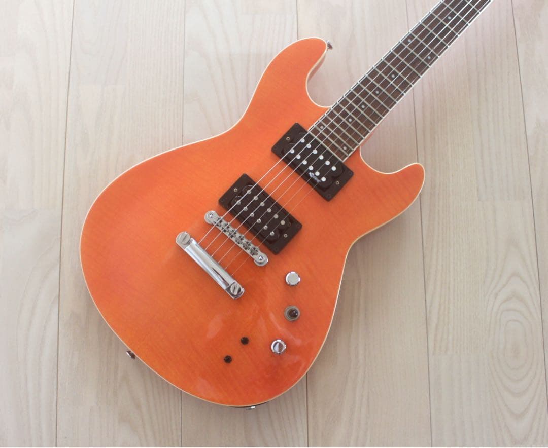 Fernandes APG-55S サスティナー搭載