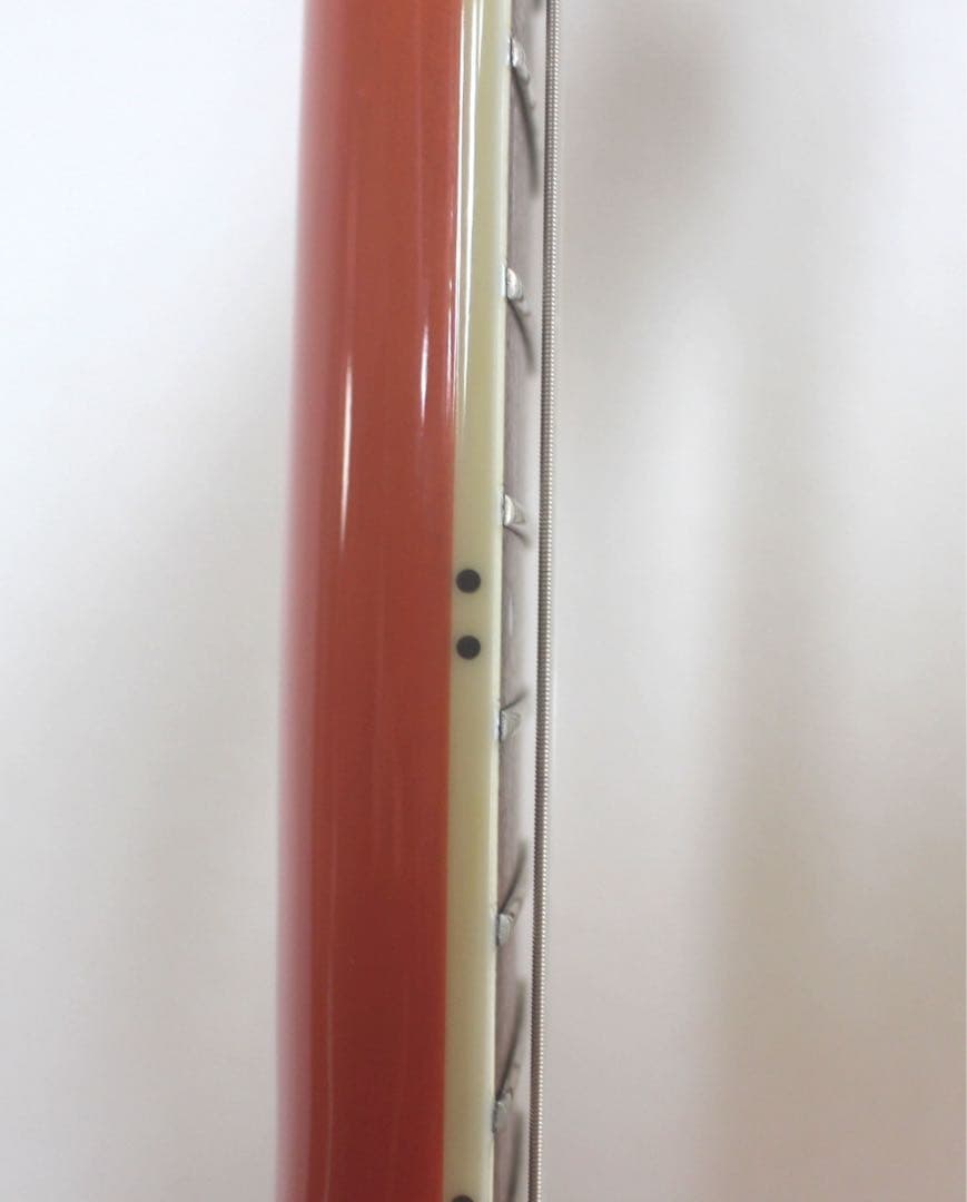 Fernandes APG-55S サスティナー搭載