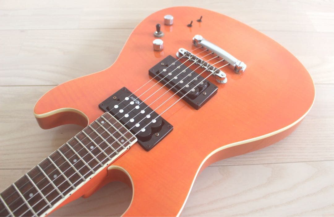 Fernandes APG-55S サスティナー搭載