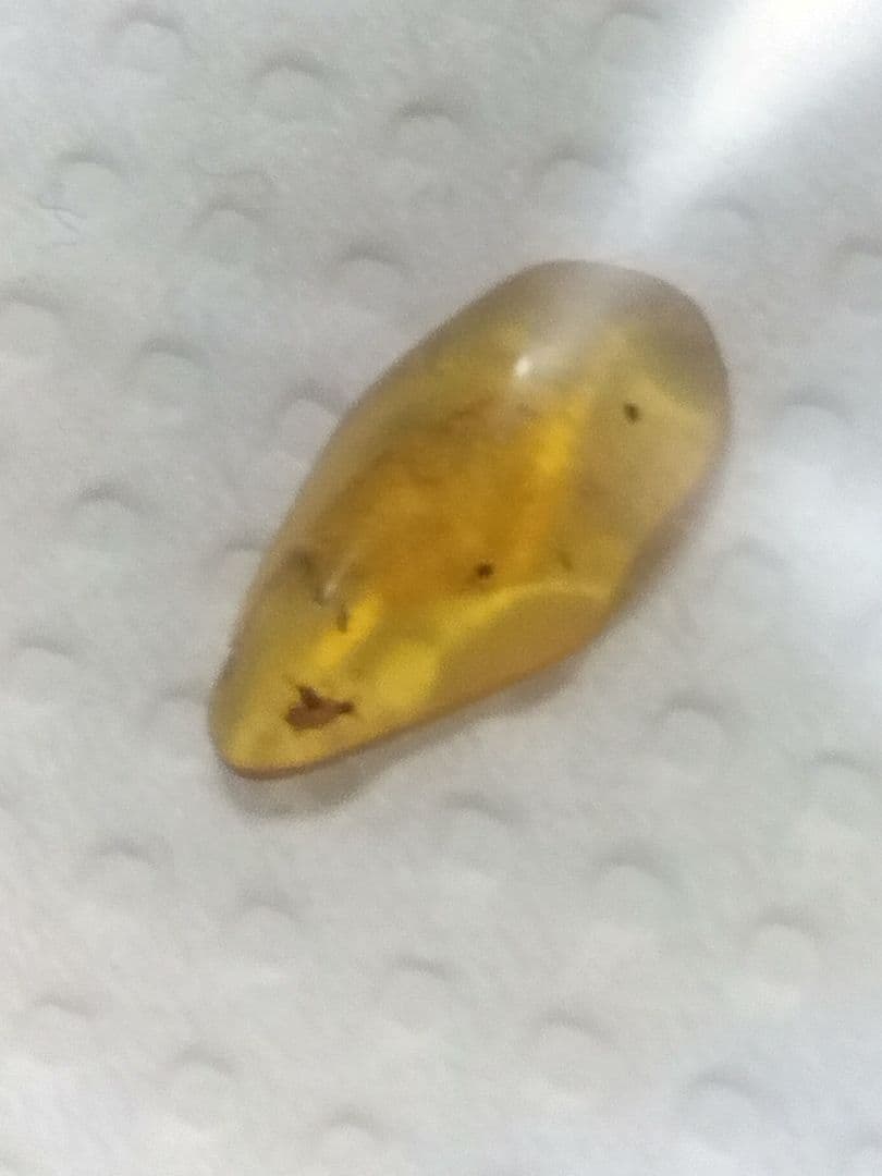 海洋堂　ジュラシックパークⅢ フィギュア&琥珀虫入り＋三葉虫化石（本物）