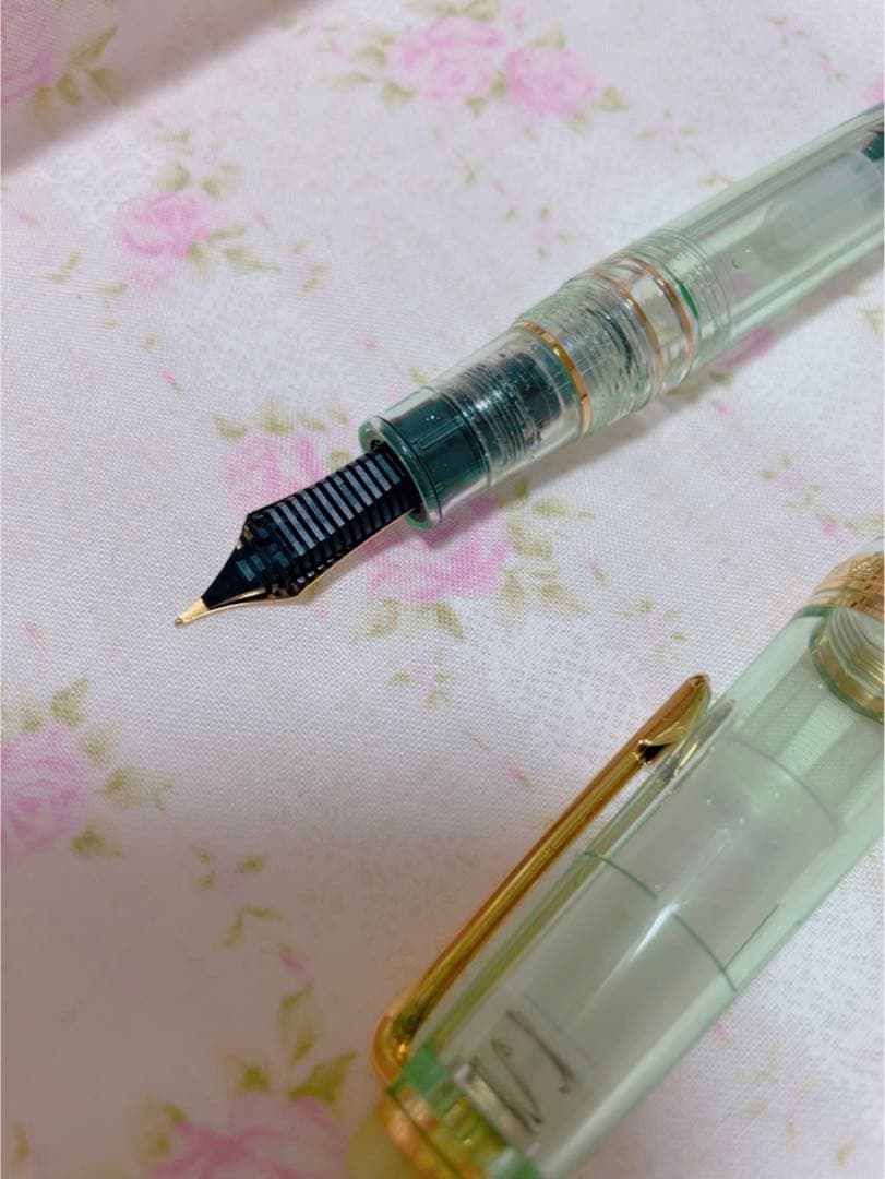 ペンポイントオリジナル万年筆　雨蛙