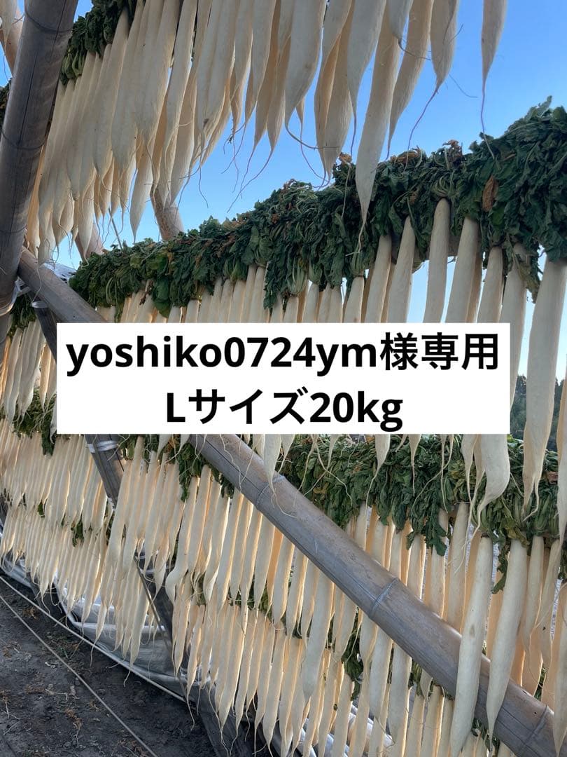 宮崎県産　干し大根　Lサイズ20kg