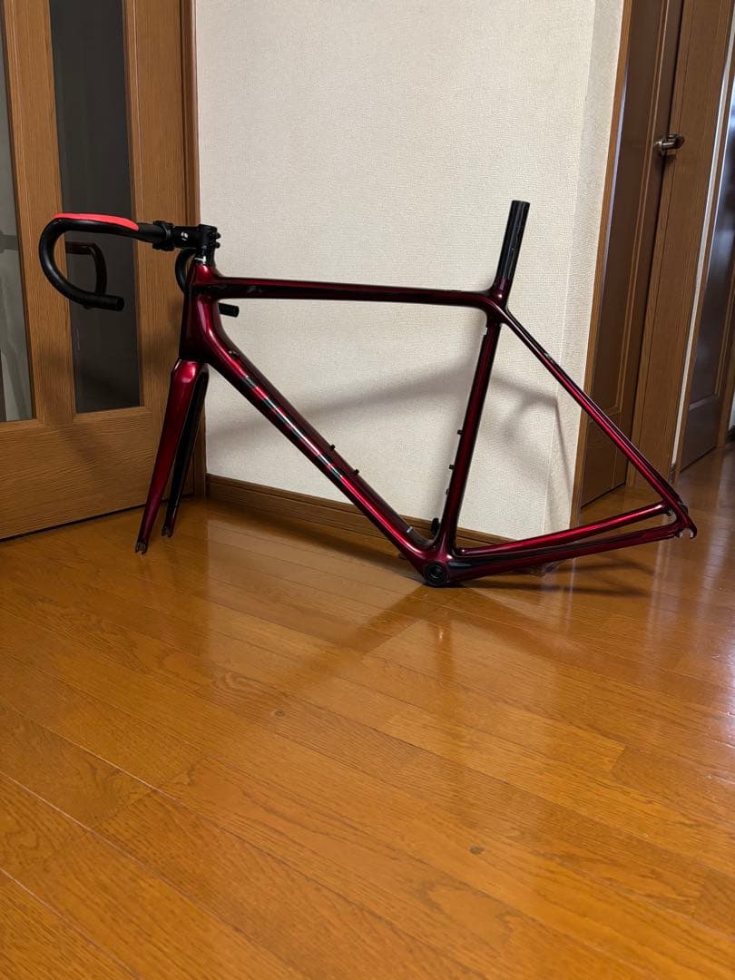 トレックTREK エモンダ EMONDA SL6 2019 56サイズ フレーム