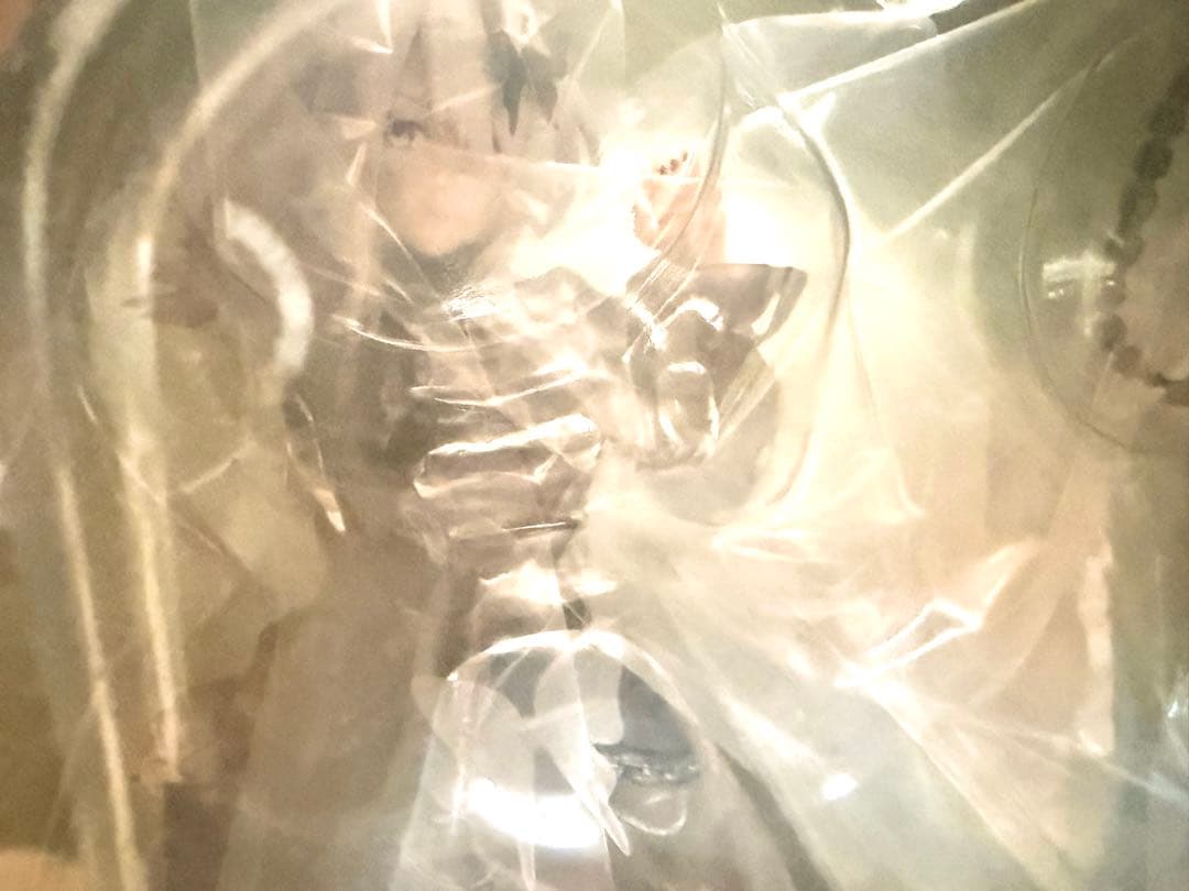 ホロライブ 一番くじ 獅白ぼたん フィギュア