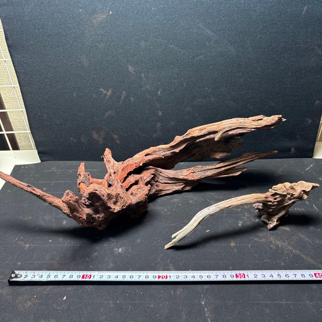 ADAホーンウッド13個