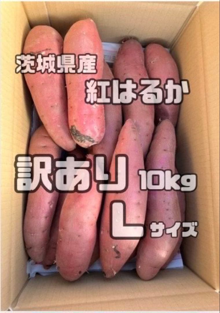 整理さつまいも　紅はるか　訳あり Lサイズ　25kg