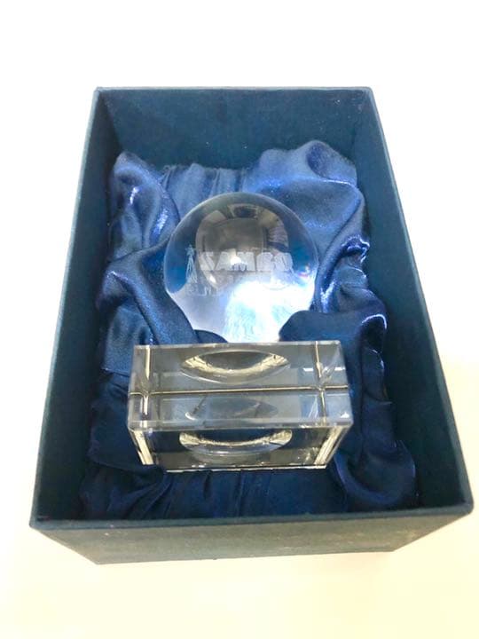 ロシアトップアスリート養成学校「サンボ70」の記念品