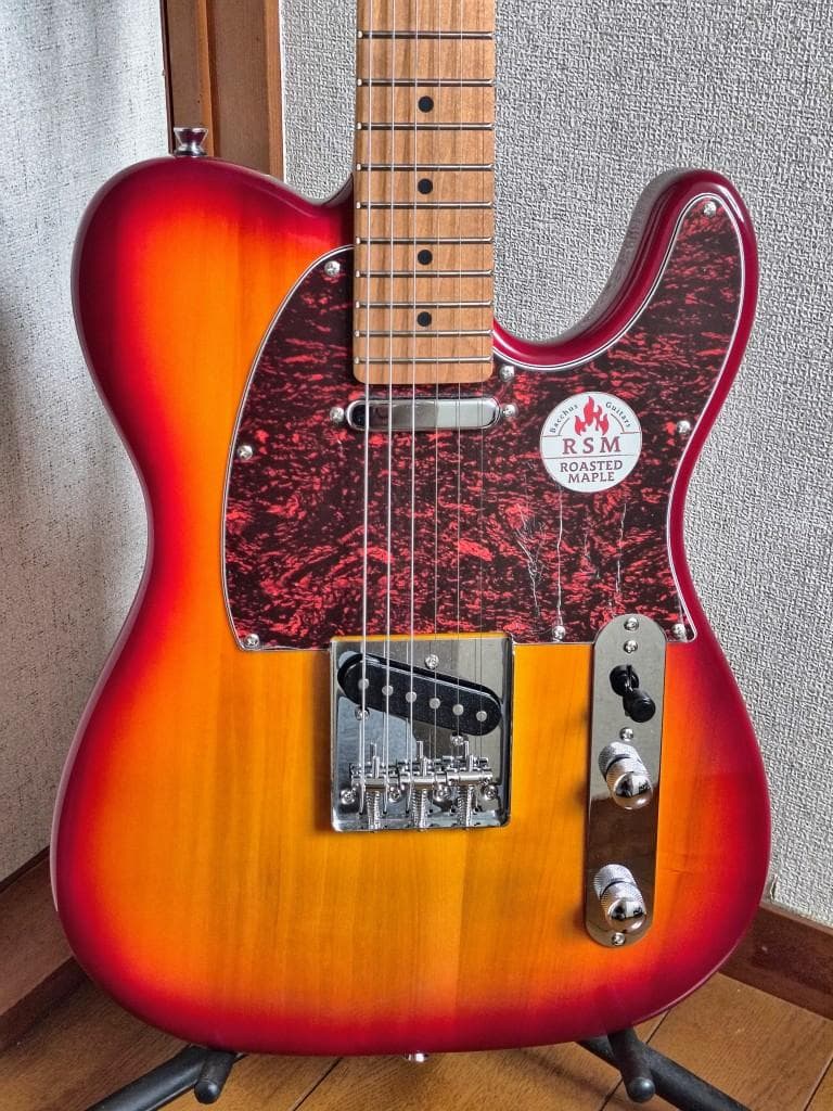 BACCHUS ユニバースシリーズ BTE-1DX RSM/M CS