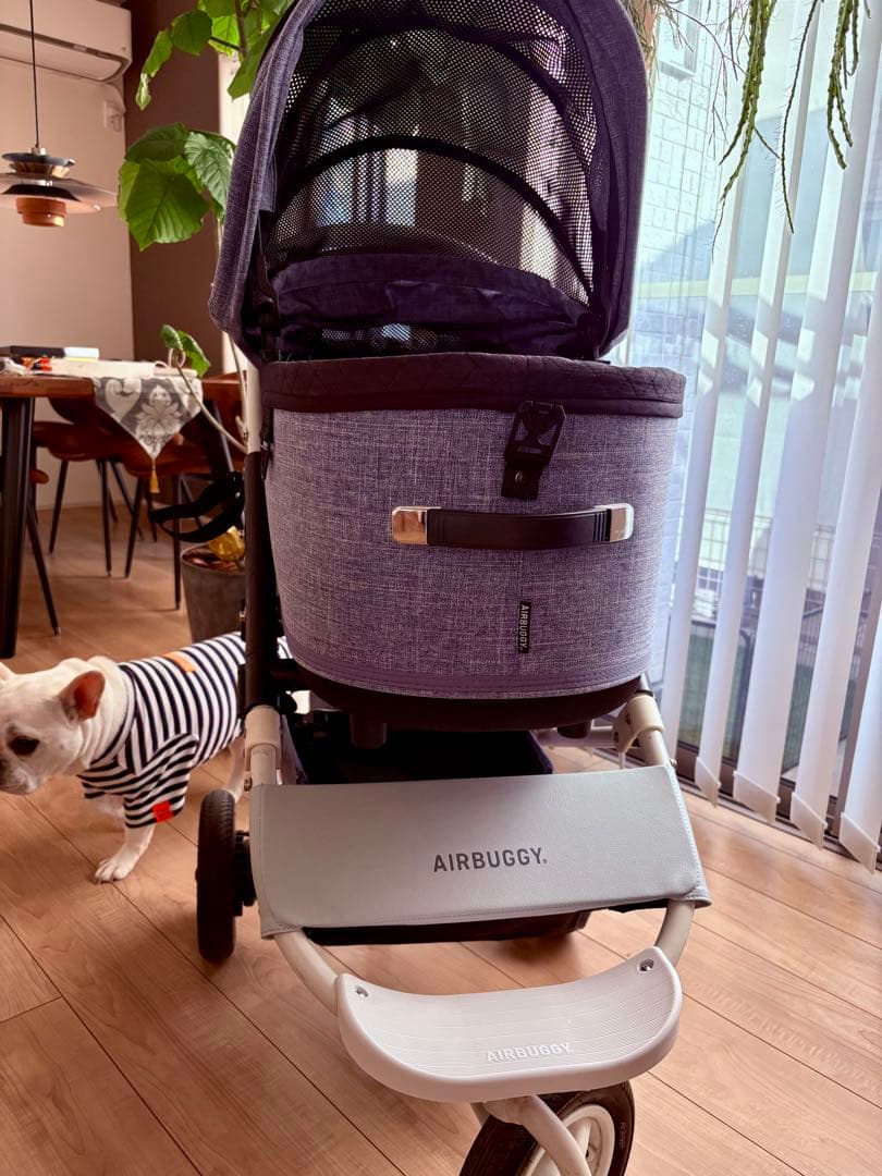 エアバギー ドーム3 ラージ　メランジデニム Air Buggy DOME3