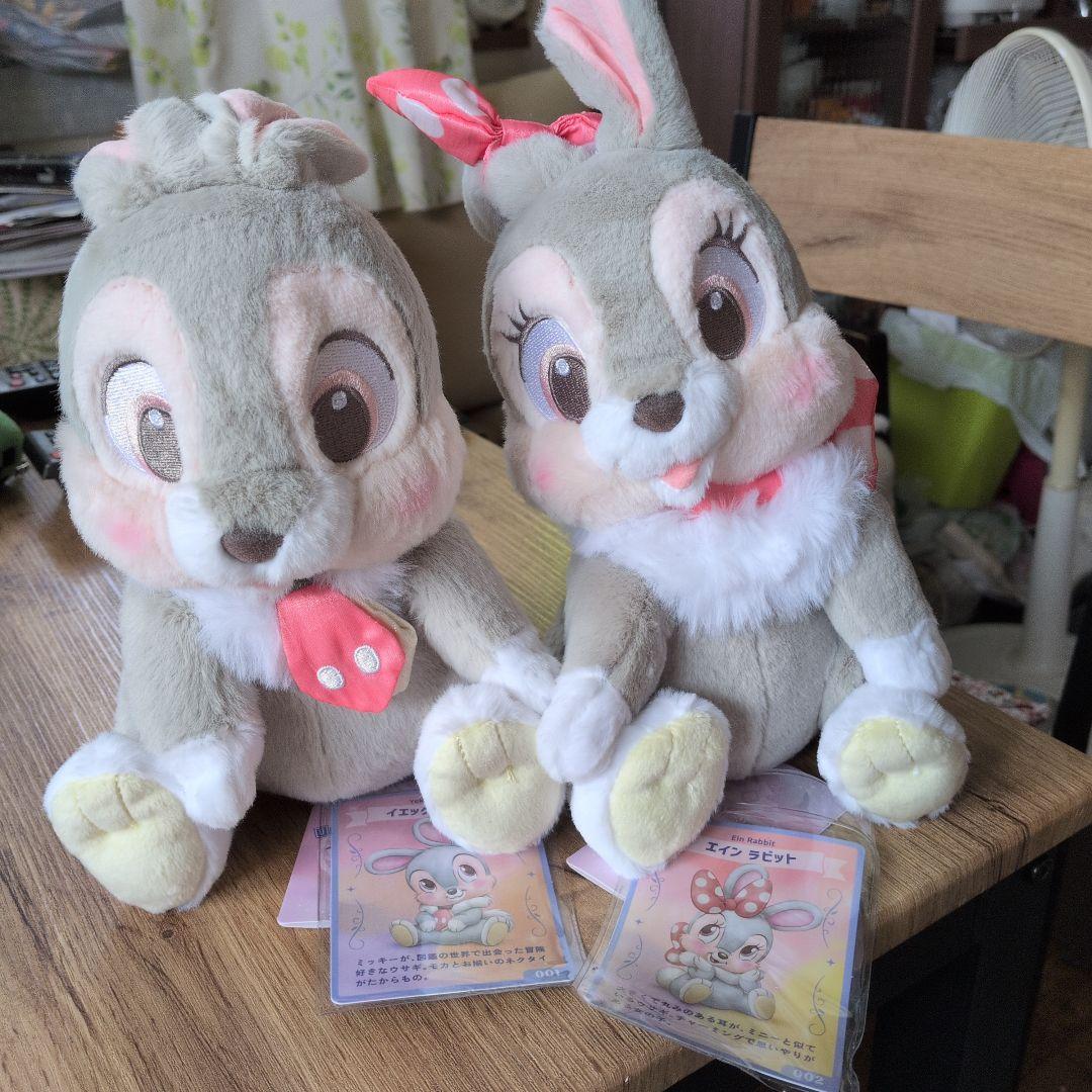 イエックラビット　エインラビット