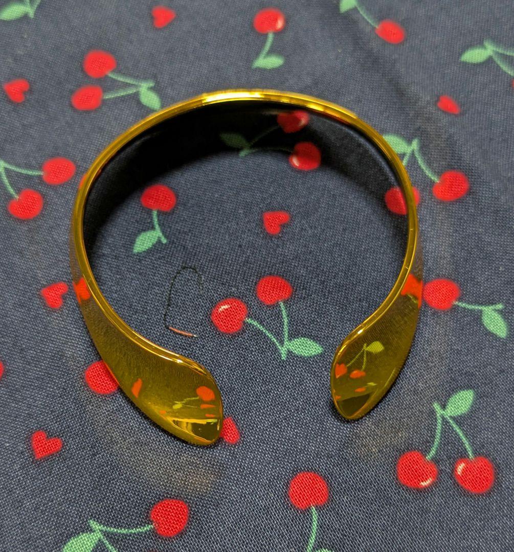 希少 aibo プレミアムプラン アイボ 限定首輪 ゴールドカラー