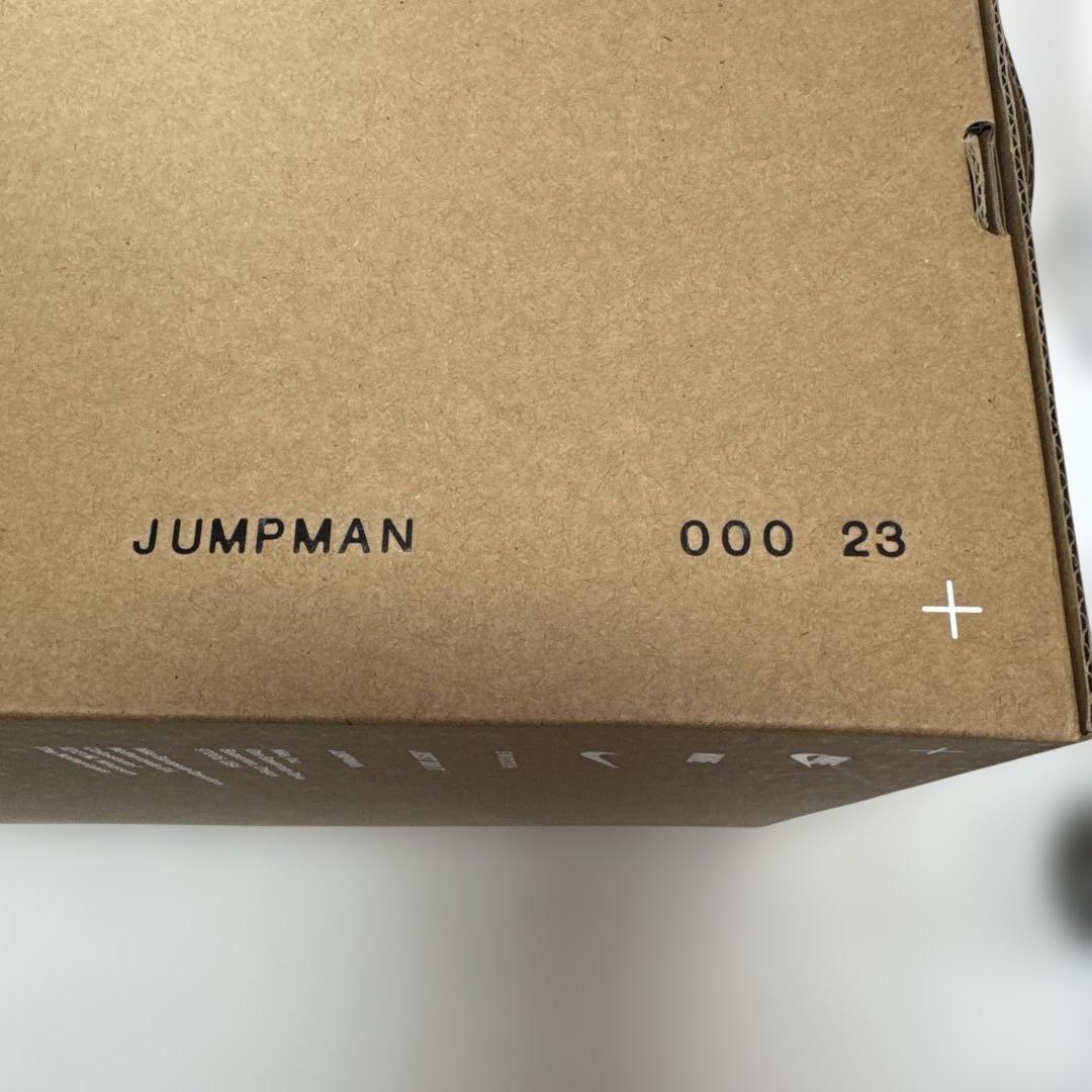 NIKE エアージョーダン 29センチ　未使用