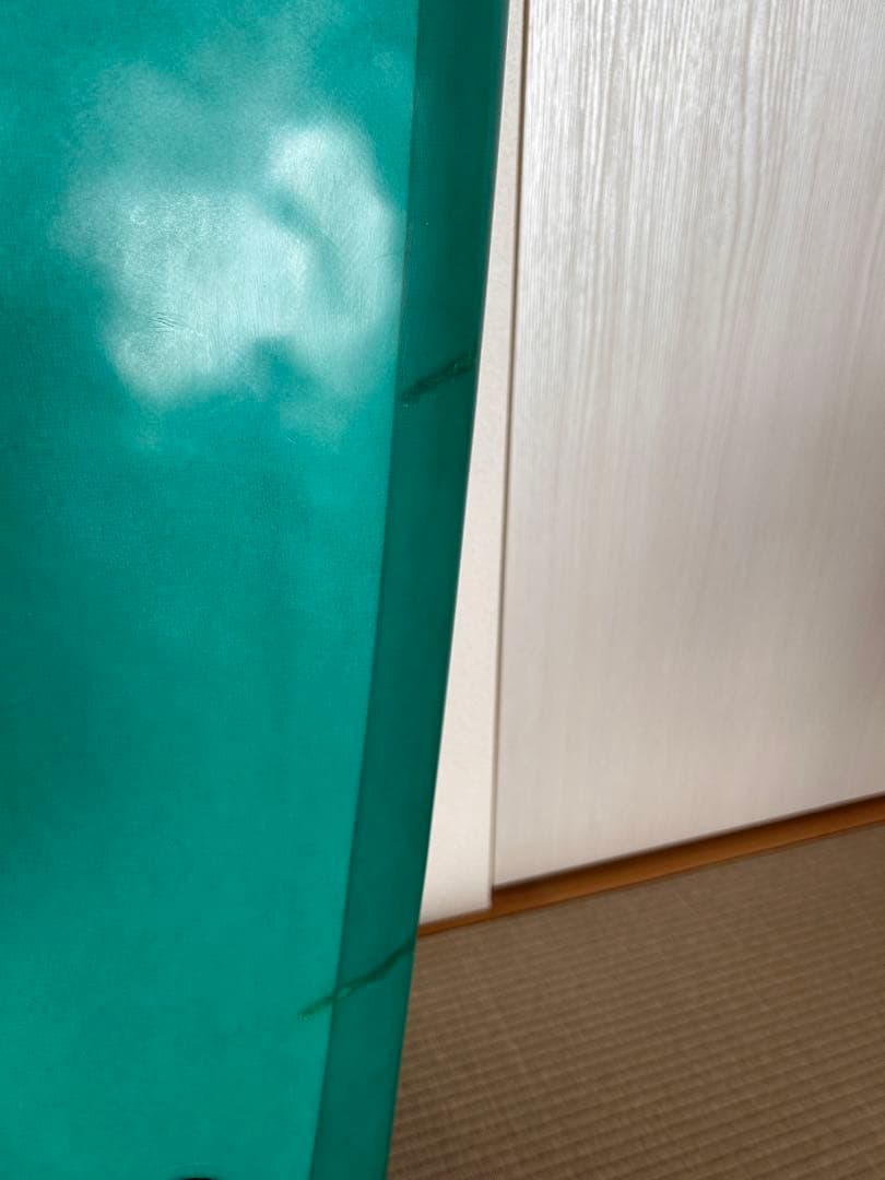 アルメリック　Ci fish