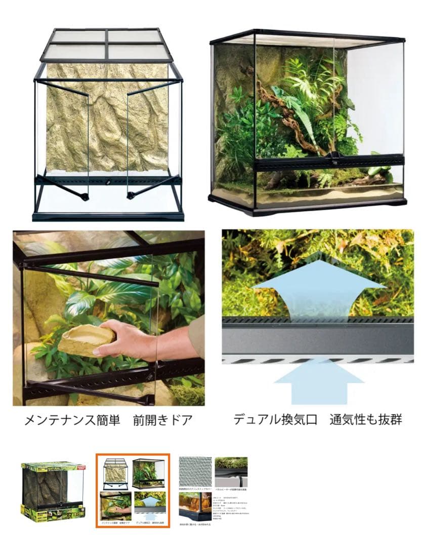 グラステラリウム 60×60