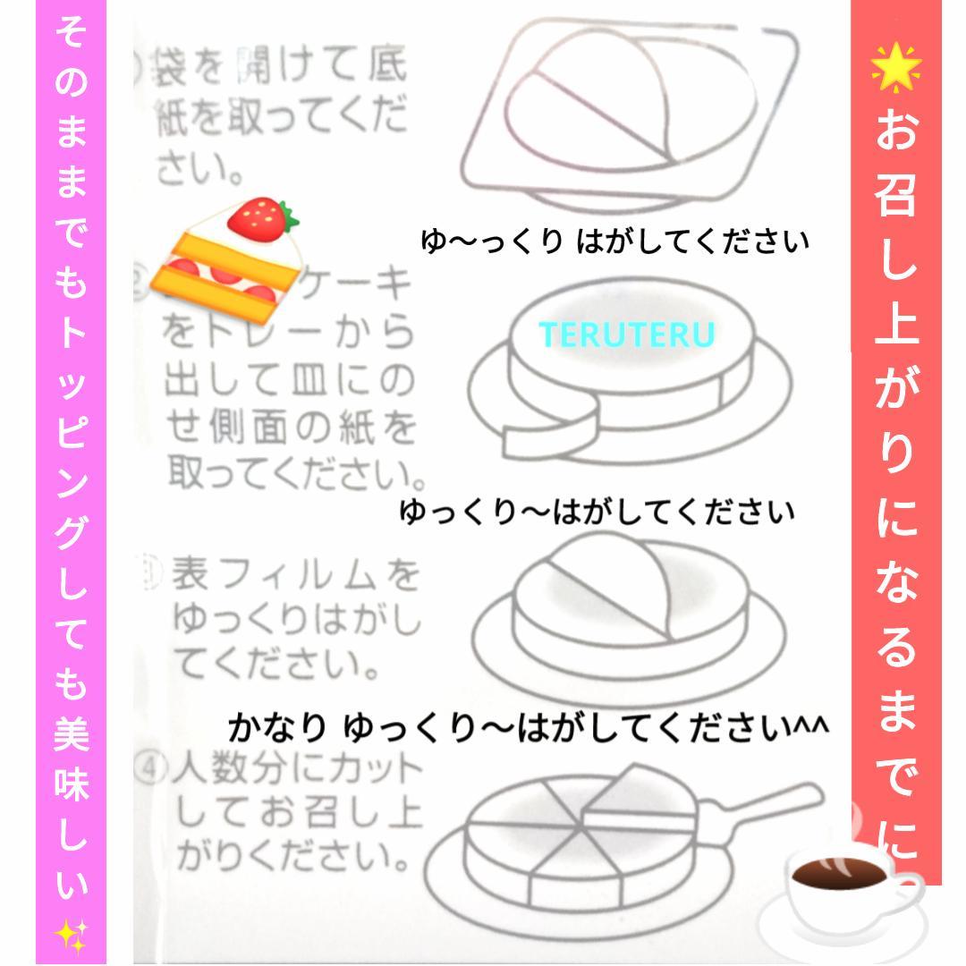 ⭕️アウトレット ⭐️チーズケーキ ⭐️プレーン 大 ６号１０個 工場直売