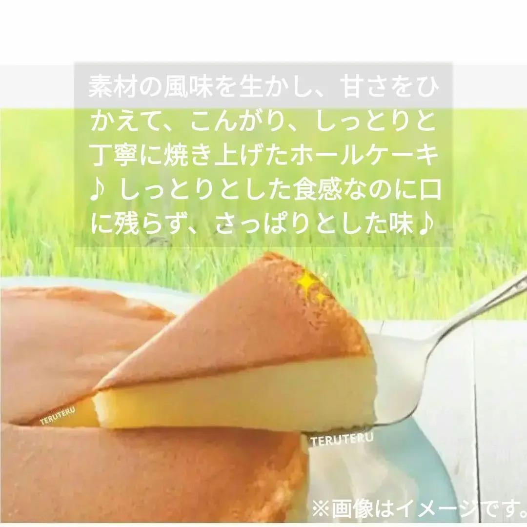 ⭕️アウトレット ⭐️チーズケーキ ⭐️プレーン 大 ６号１０個 工場直売