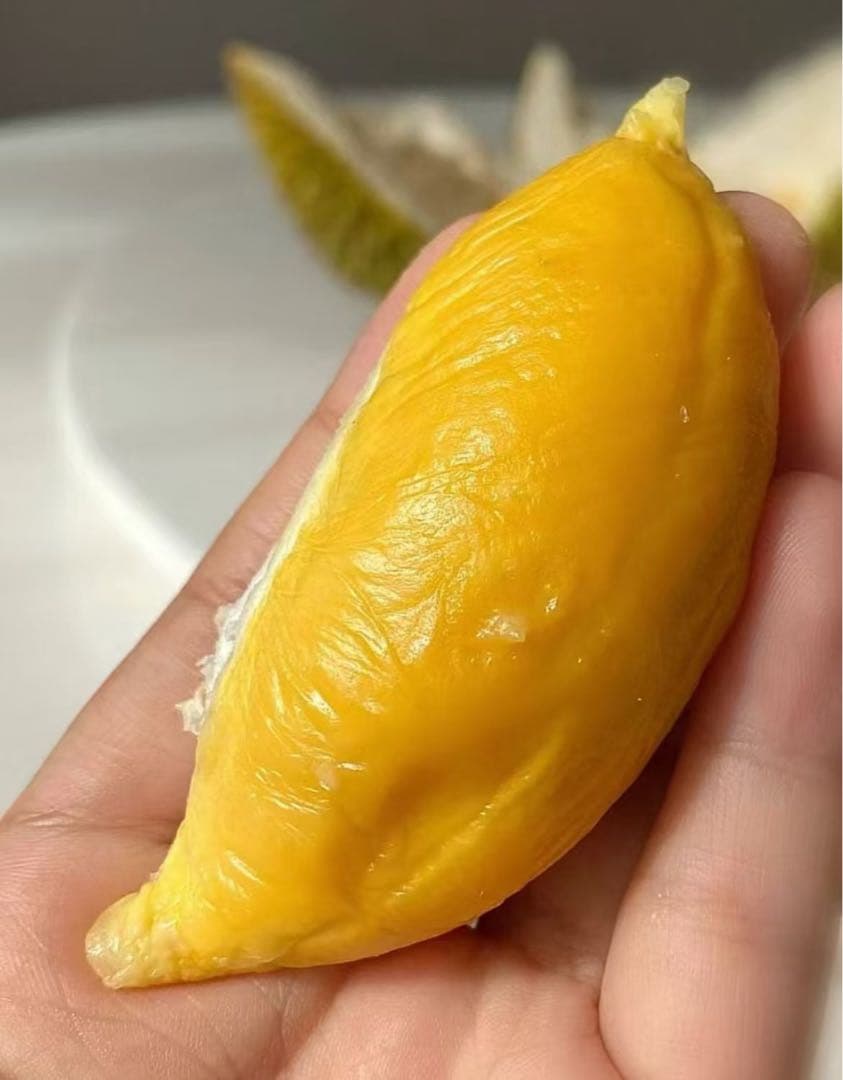 タイ産新鮮ドリアン一箱4個