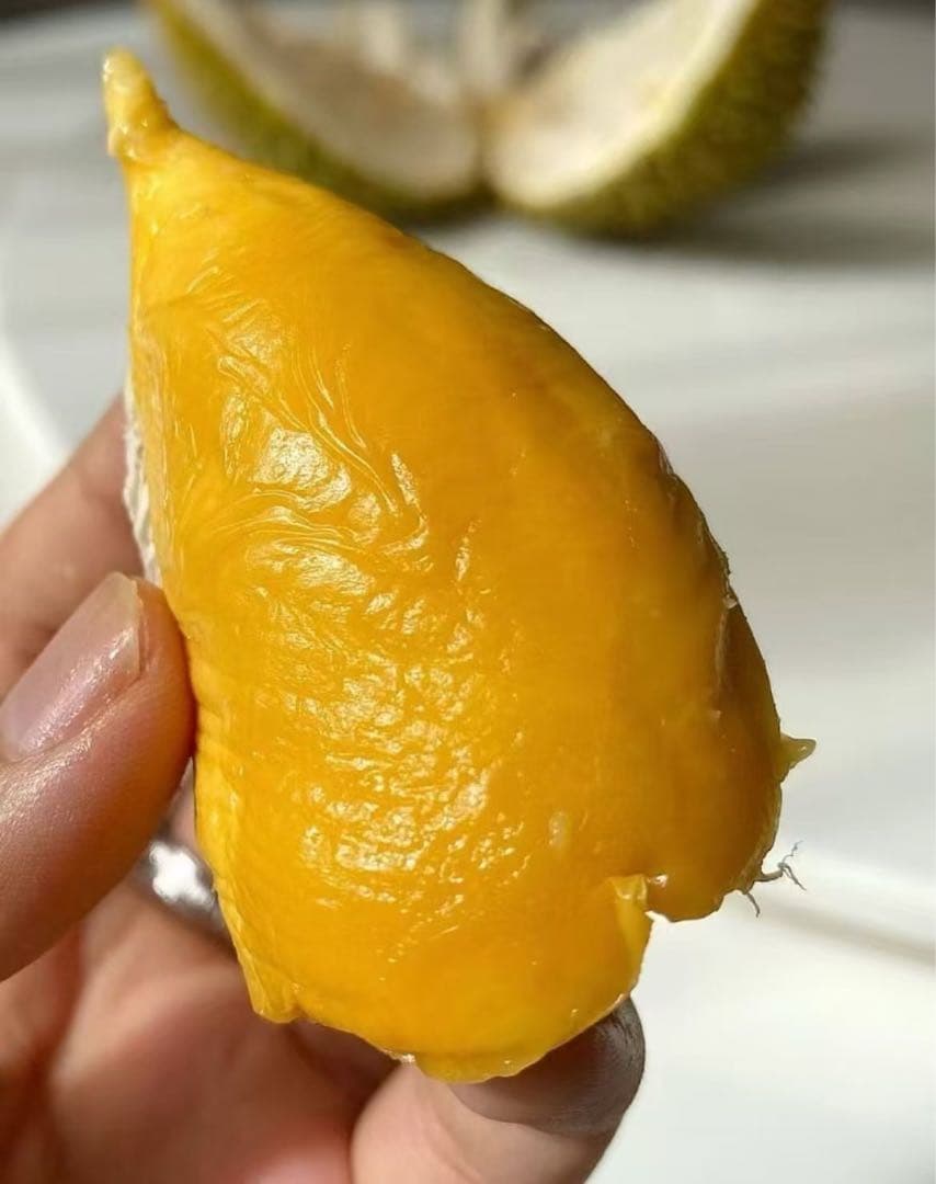 タイ産新鮮ドリアン一箱4個