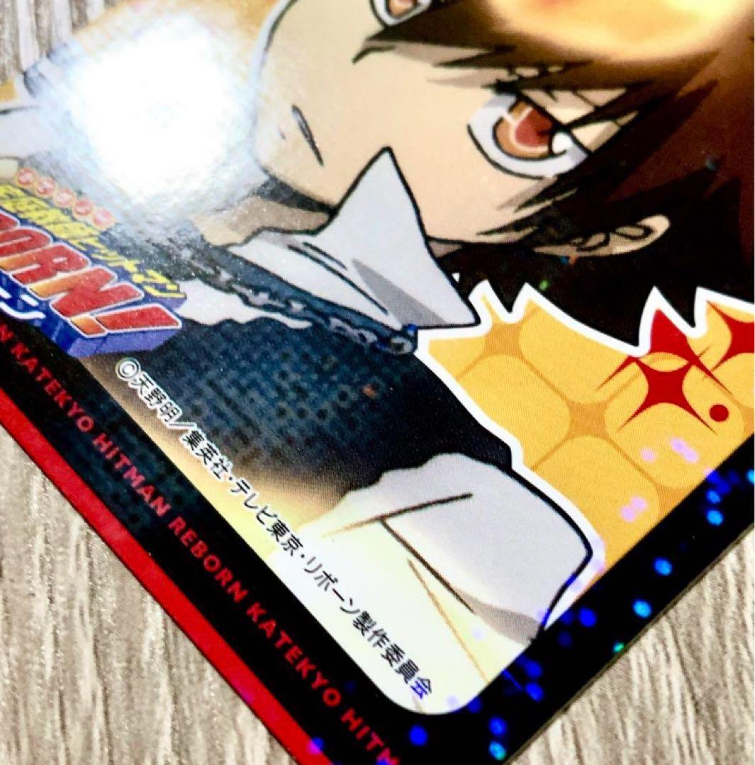 希少 プレミアムカラー 沢田綱吉 リアルペイントシート カード リボーン