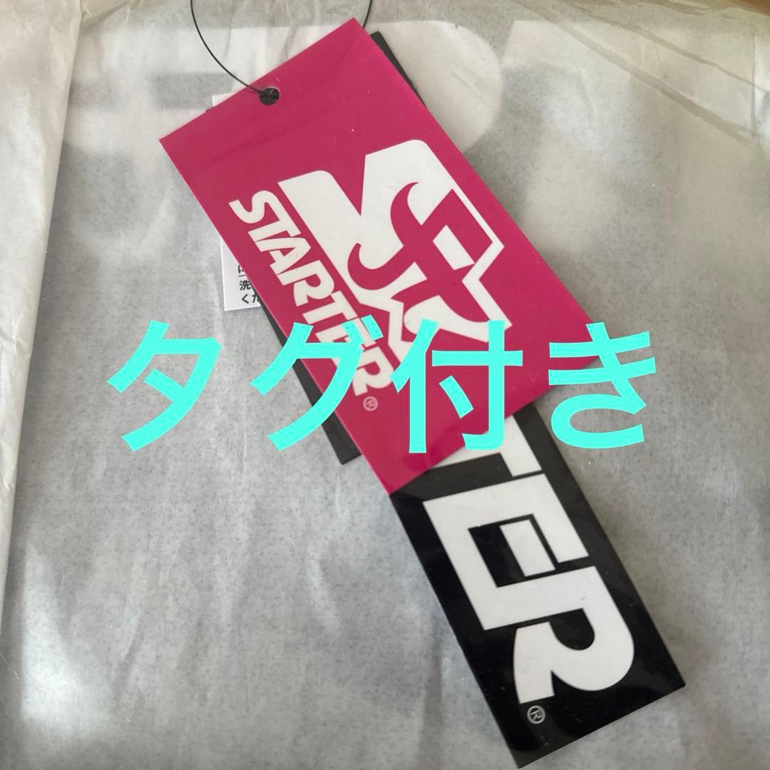 完売品レア　浜崎あゆみ　25周年ツアーグッズ　リュック　バッグ　STARTER