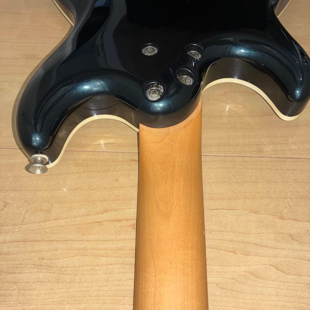 超希少　History(フジゲン) ZGF CFS 富士弦製　日本製