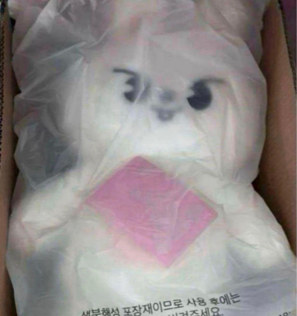 leebit テディベアSKZOO PLUSH TEDDYBEAR V