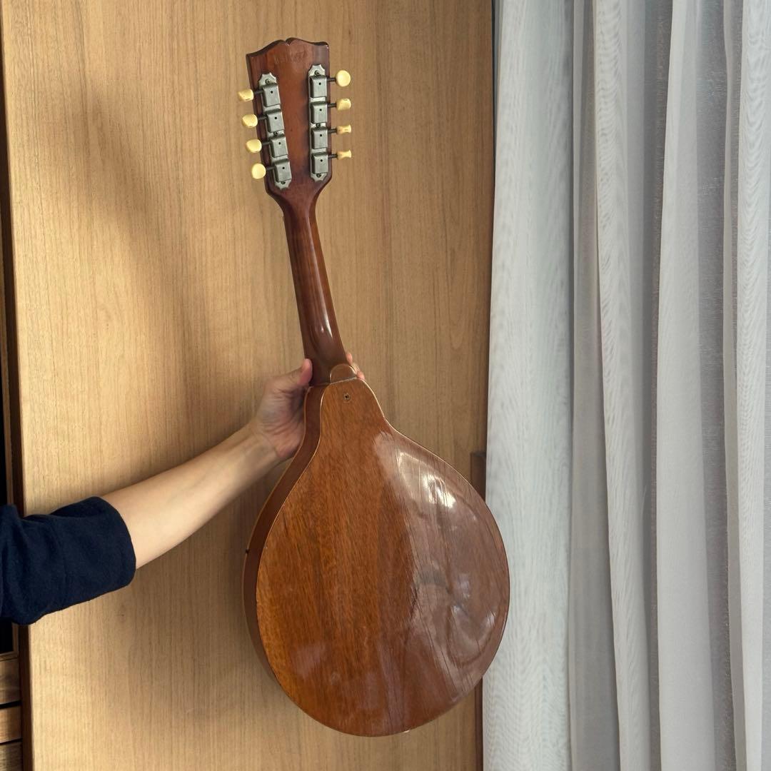 <超貴重特A>GibsonマンドリンA40-N 1940s ~1950s