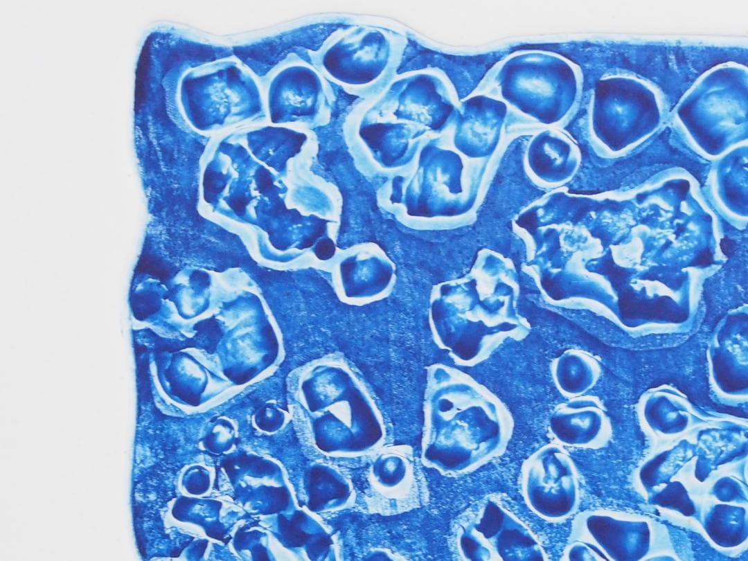 現代版画の鬼才◆一原有徳「RIz」◆ステンレス版画1984年55部◆サイン