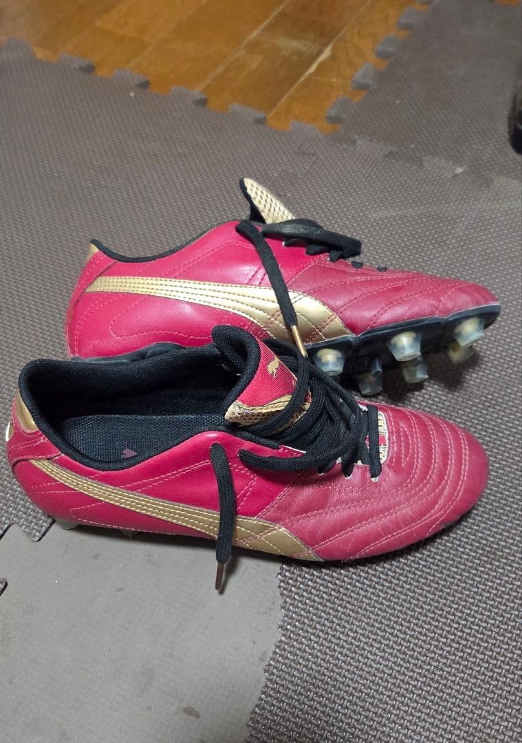 パラメヒコライト