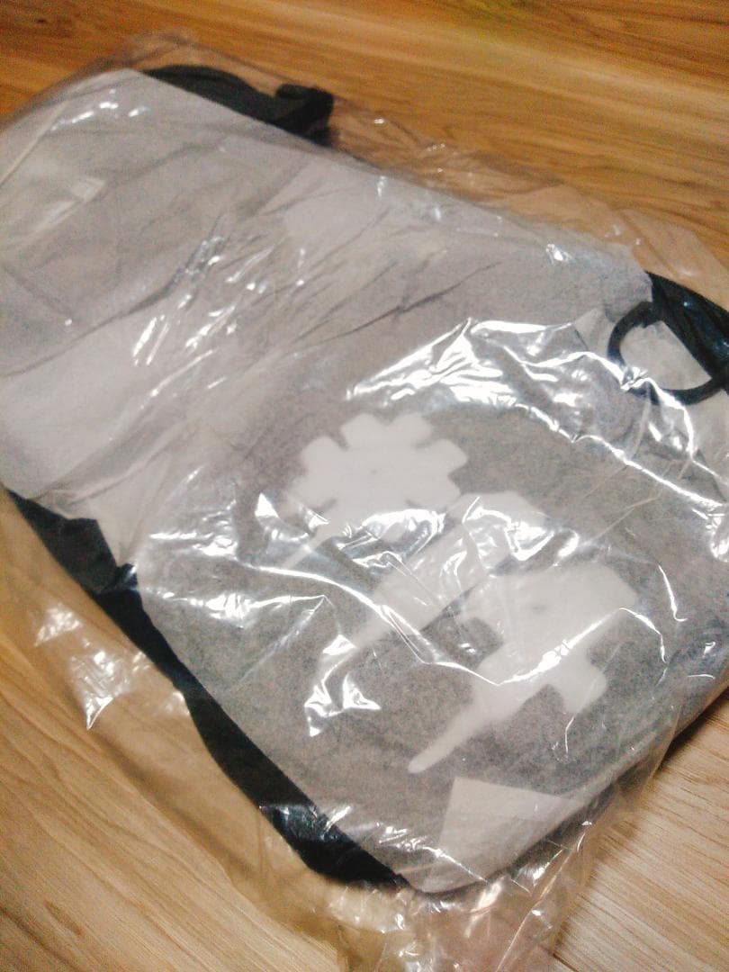 【送料無料・貴重！】BUMP OF CHICKEN ドラムバッグ（ブラック）