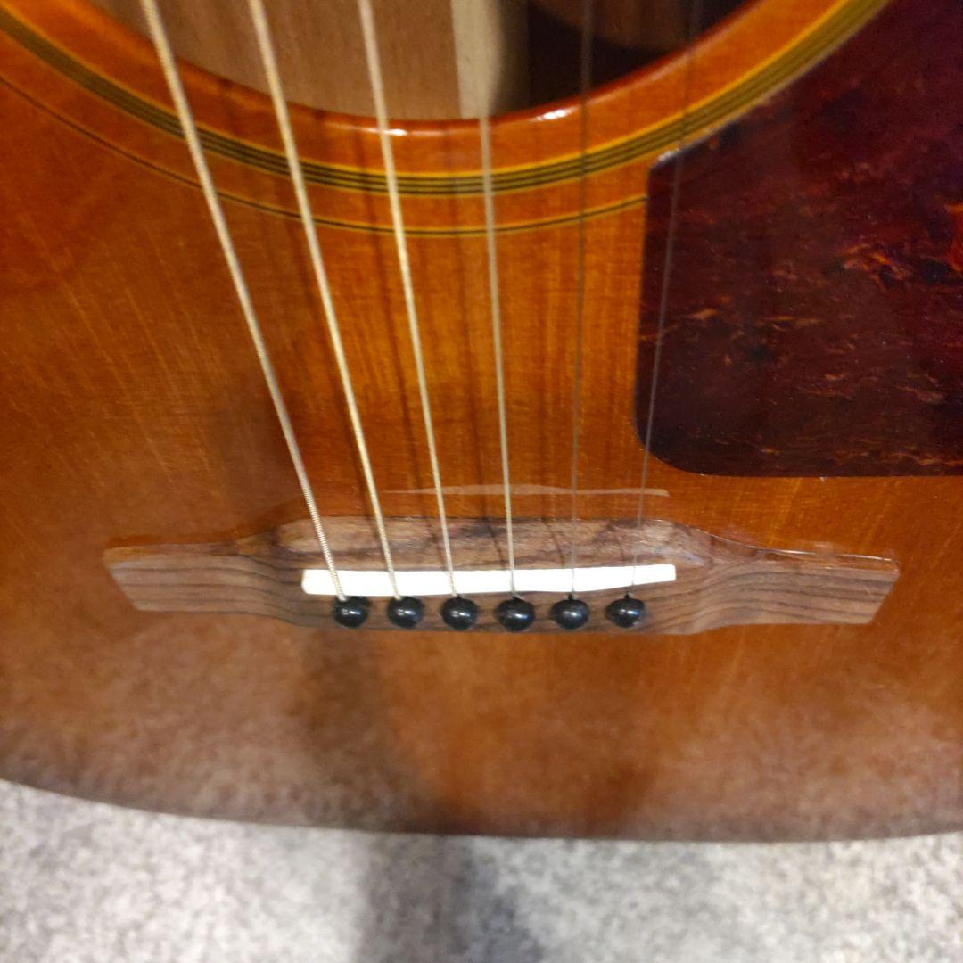 Epihone Texan エレアコ (管理カワテ)